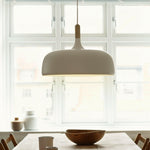 Acorn Pendant Lamp | Various Colours.