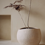 Plantas Planter | Various Sizes.