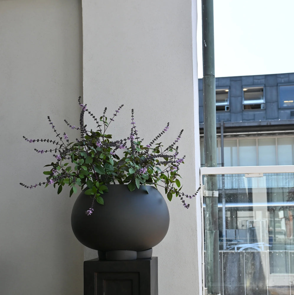 Urchin Plant Pot | Medio.