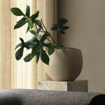 Plantas Planter | Various Sizes.