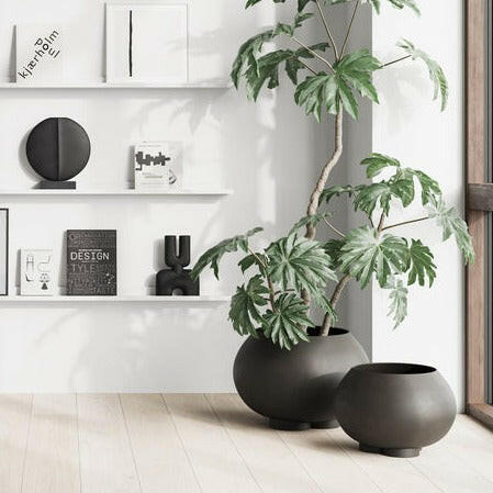 Urchin Plant Pot | Medio.